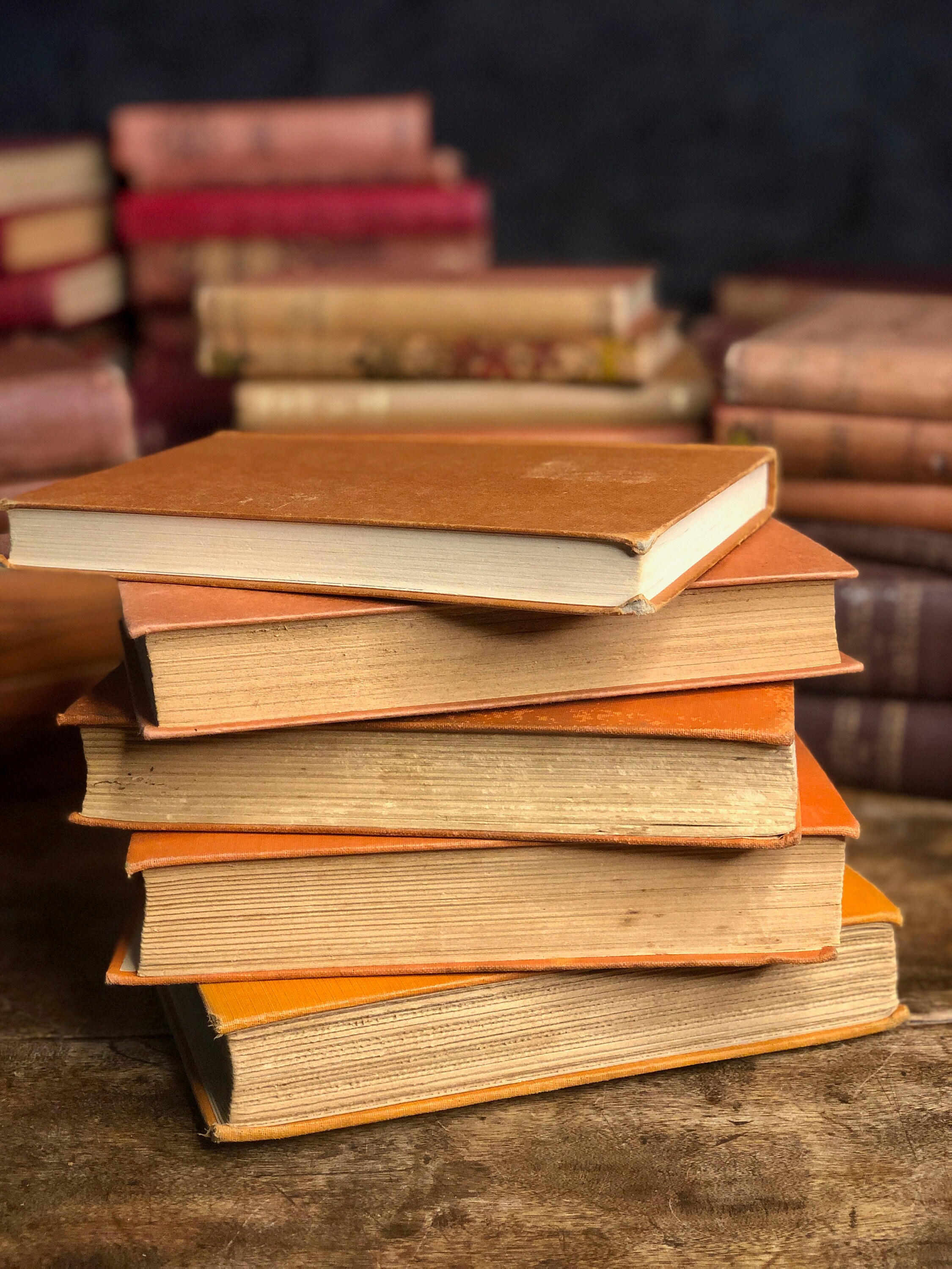 Orange Book Bundle Set of Five Fall Decor Book Stack Etsy