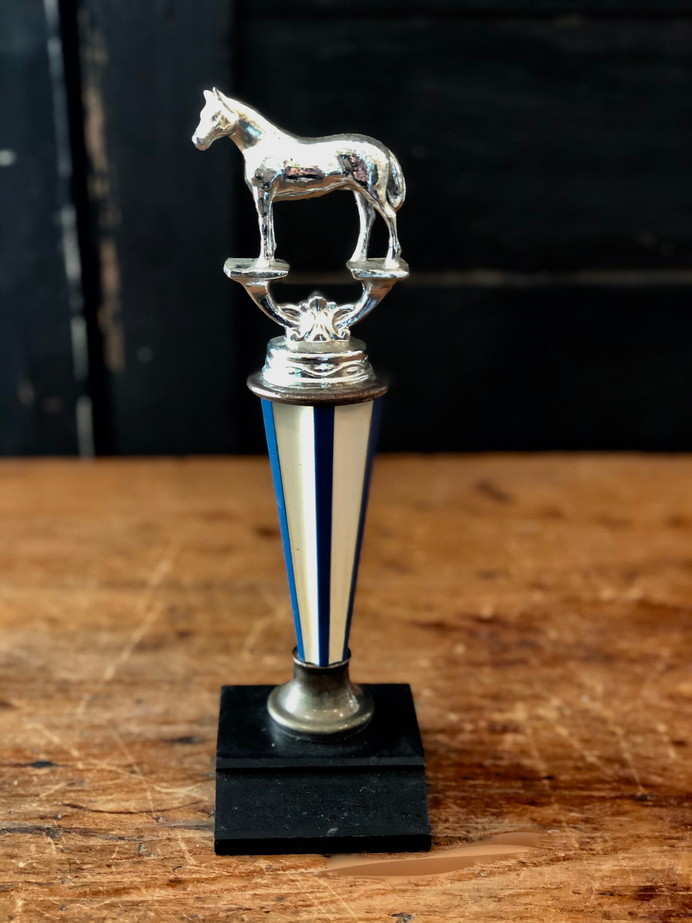 Horse Trophy Cup Equestrian Best in Show Horse Show Trophy Etsy