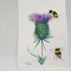 Könnte beinhalten: Aquarellmalerei einer Distelblume in Lila und Grün, mit zwei Hummeln. Die Bienen haben gelbe und schwarze Streifen. Das Kunstwerk ist signiert und datiert.
