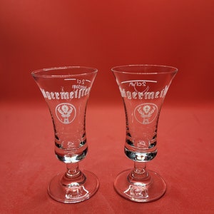 Set of 2 Unique Jagermeister Glasses
