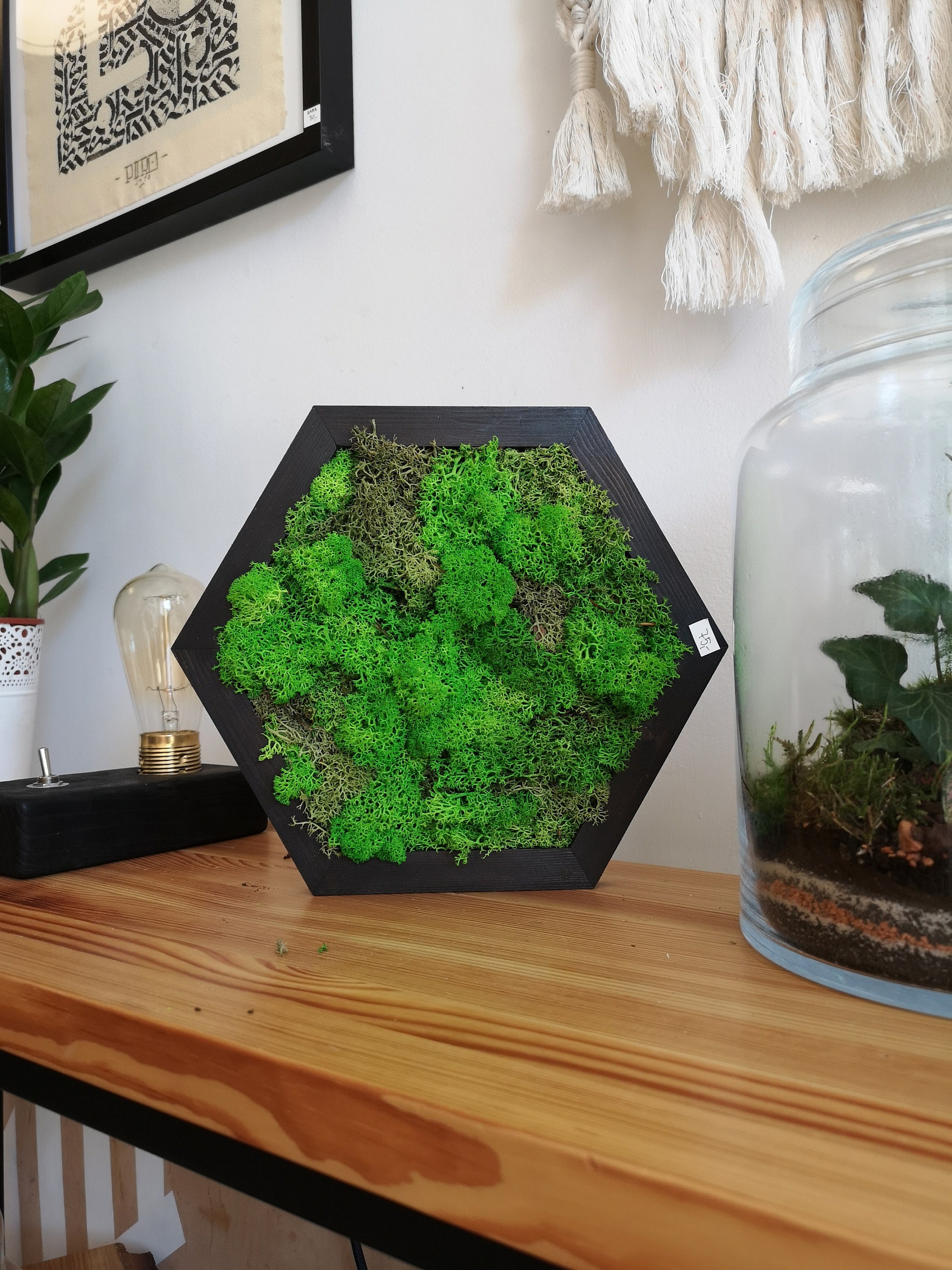 diy living moss wall on Hexagon Moss Frame M Plant Decor Moss Wall Art Home Etsy