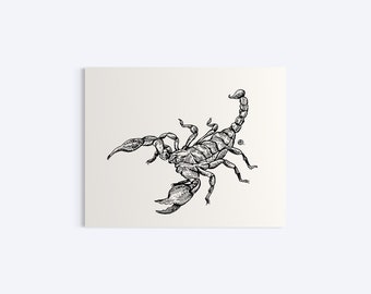 Original Ink Drawing, Scorpion, 5x4”, Ink Drawing, Illustration, Sketch, Wildlife Art, Nature Theme, Wall Art