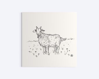 Original Ink Drawing, Goat, 5x5”, Ink Drawing, Farm Art, Illustration, Sketch, Wall Art