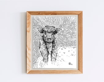 Original Ink Drawing. Highland Cow Art. 5x6" Artwork