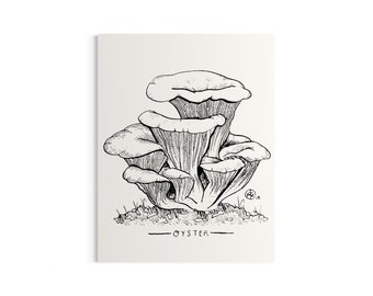 Oyster Mushroom Mini Art Print, 4.25x5.5”, Botanical Illustration, Mushroom Art, Fungi Illustration, Nature Theme