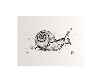 Snail Mini Art Print, 4.25x5.5”, Ink Drawing, Nature Theme, Wildlife Art, Mollusk Illustration