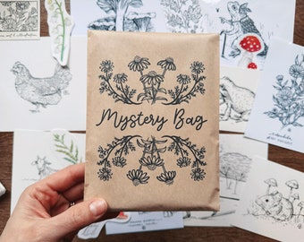Mystery Bag! Original Art & Illustration. Surprise Art. Goody Bag. Grab Bag