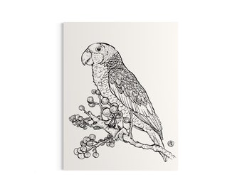 Parrot Mini Art Print, 4.25x5.5”, Bird Drawing, Botanical Art, Ink Drawing, Pen & Ink