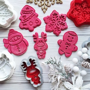 Leuke kerstkoekjesvormpjes Set en stempel. Kerstboom, sneeuwpop, rendier, sneeuwvlok, peperkoekman. Zeer gedetailleerde postzegels