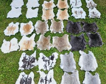 Rabbit skins Rabbit fur many natural colors TOP tanning
