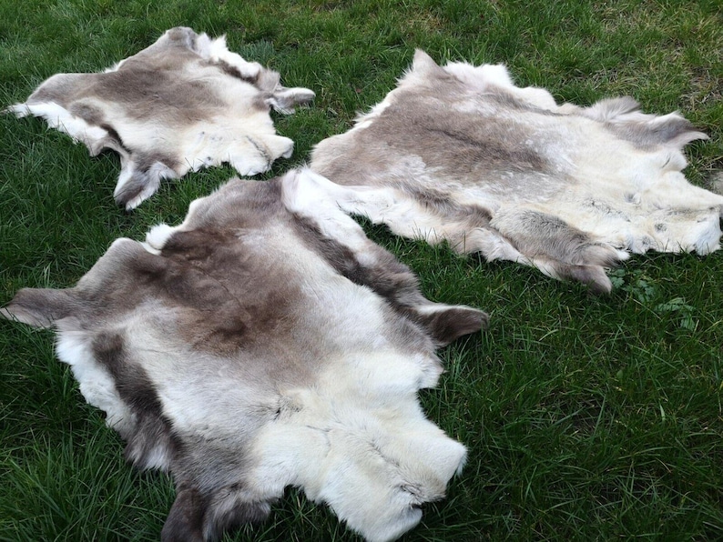 May include: Three reindeer hides with natural coloring of brown, gray, and white are displayed on green grass. The hides have a soft, furry texture and irregular shapes, with visible legs and edges.