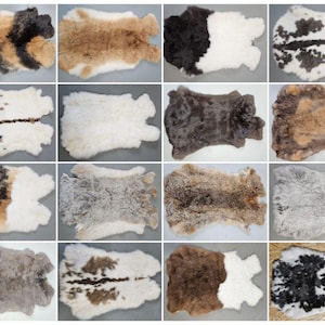 Premium XXL rabbit fur rabbit fur rabbit breed