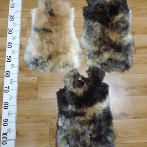 Puede incluir: Tres pieles de conejo, una con un patrón marrón y blanco, otra con un patrón negro y blanco y la última con un patrón marrón, negro y blanco. Las pieles están dispuestas sobre una superficie de madera con una regla para la escala.