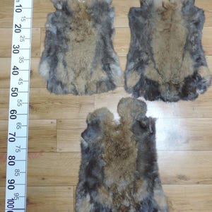 Puede incluir: Tres pieles de conejo, dos son de color marrón claro con puntas grises y una es de color gris oscuro con puntas marrones. Las pieles están dispuestas sobre una superficie de madera con una regla en centímetros en la parte superior.