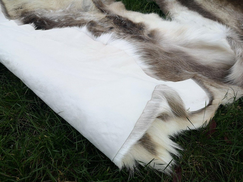 May include: A natural reindeer hide rug with a white underside and a mix of brown and cream fur. The rug is partially rolled up, revealing the white backing, and is set on a bed of green grass.
