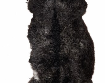 Genuine sheepskin | Black-brown with white, approx. 140 cm | Curly pile | Eco-tanned | Unique piece 156-425