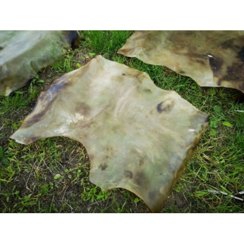 May include: Several irregularly shaped, translucent hides with a mottled appearance are arranged on a bed of green grass. The hides have a light, almost yellowish color with darker brown and black patches.