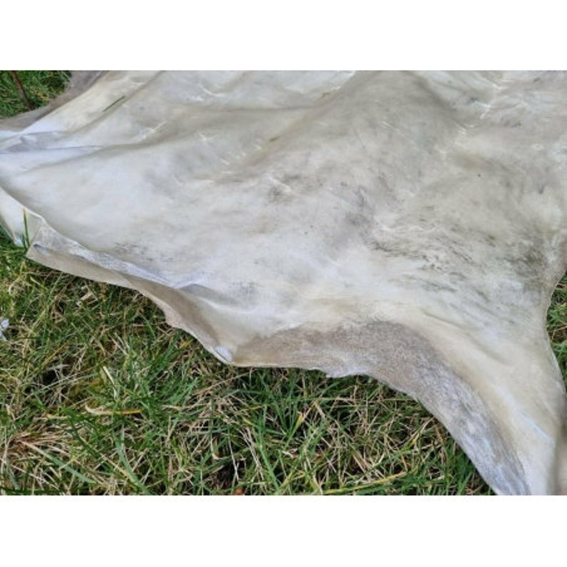 Genuine rawhide parchment raw leather for knight shields drumheads image 4