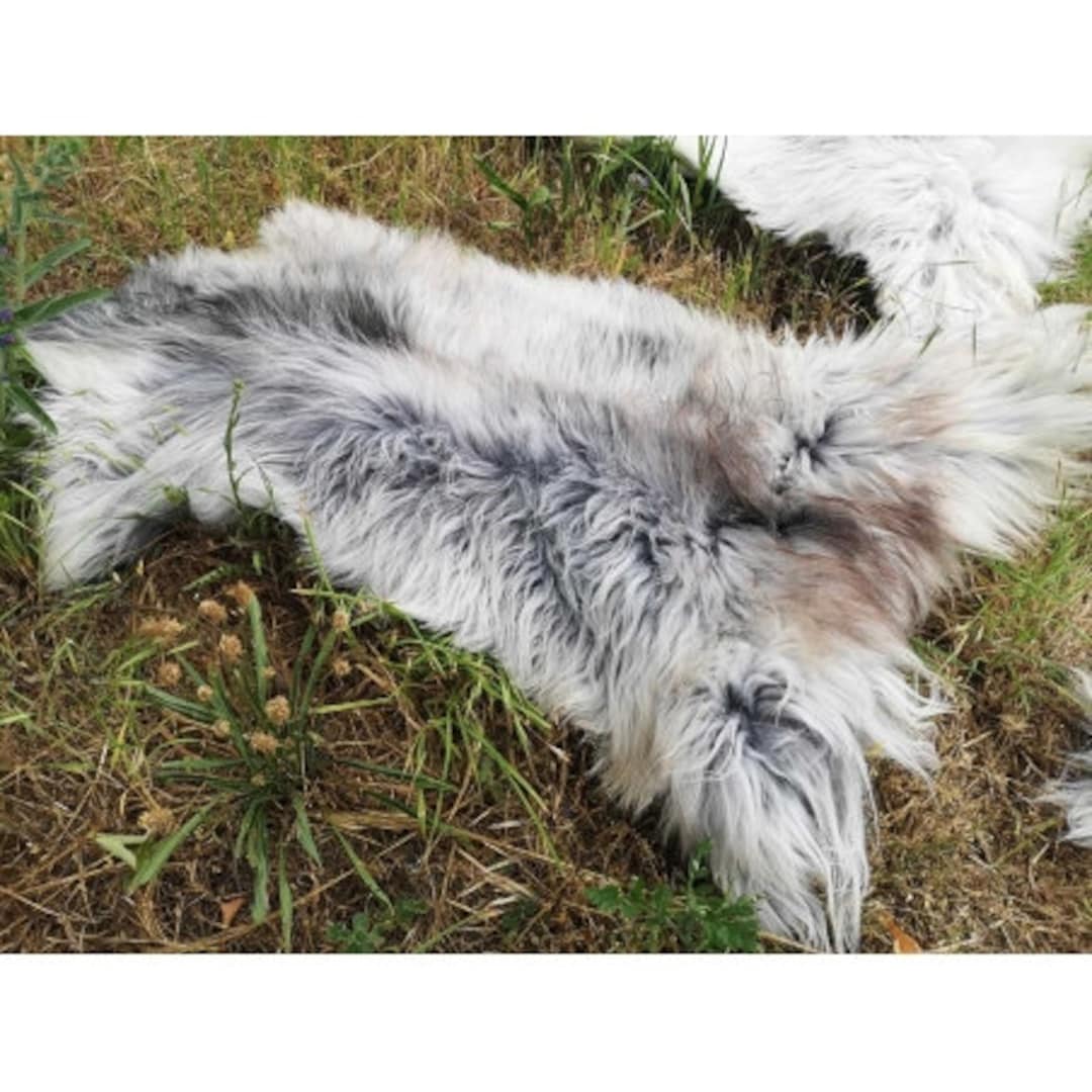 Tapis peau de mouton, 5 peaux, gris naturel. Tannage écologique