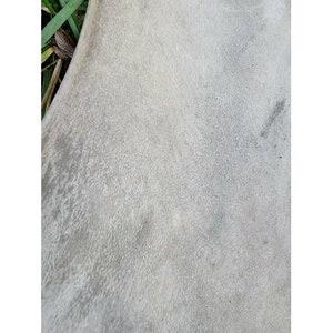Genuine rawhide parchment raw leather for knight shields drumheads image 8
