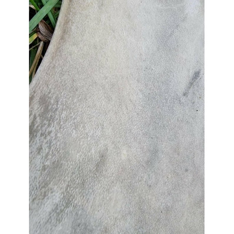 Genuine rawhide parchment raw leather for knight shields drumheads image 8