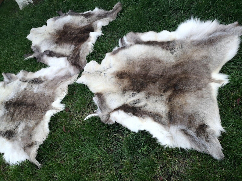 May include: Three reindeer hides with natural brown and white fur are displayed on green grass. The hides have irregular shapes and varying shades of brown and white, with a soft, textured appearance. The hides are likely used for decorative purposes.