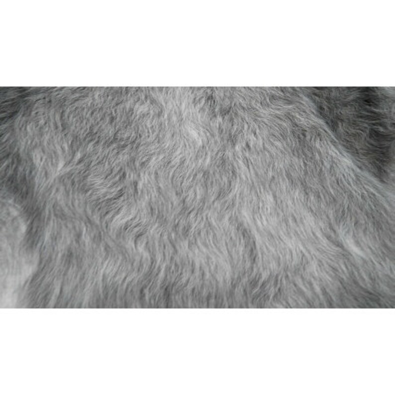 May include: Close-up of a soft, gray, fluffy fur texture.