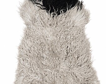 Genuine sheepskin | Cream-white-black, approx. 130 cm | Long pile with curls | Eco-tanned | Unique piece 156-429