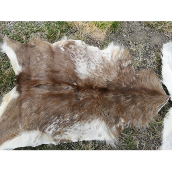 Real Goatskin Goatskin Fur Heavily Damaged Large Selection