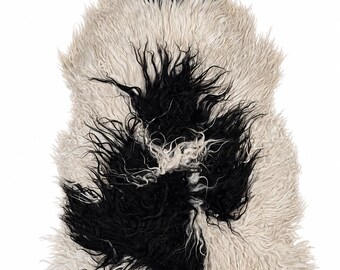 Genuine sheepskin | Cream white-black, approx. 128 cm | Long pile with curls | Eco-tanned | Unique piece 156-430