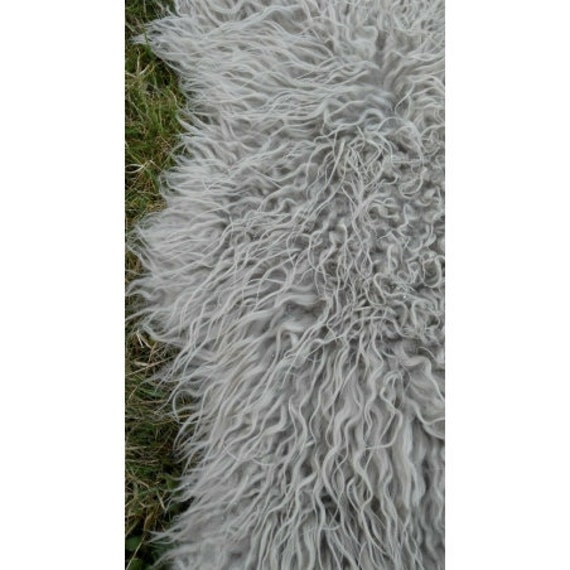 1.500 Pecora Islandese Foto Stock, Immagini E Fotografie Royalty-free - Foto 10