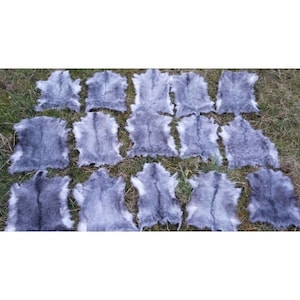 May include: A collection of gray rabbit fur pelts laid out on a grassy surface. The pelts are soft and fluffy, with a natural gray color.