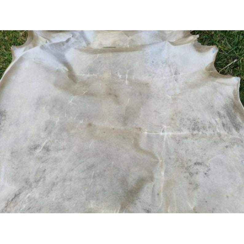 Genuine rawhide parchment raw leather for knight shields drumheads image 3