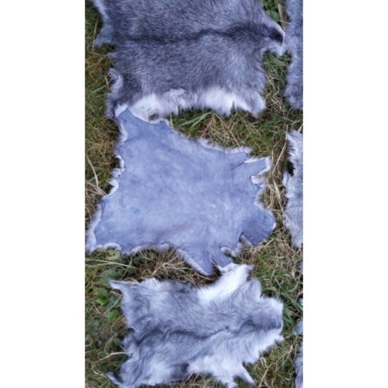 May include: Three pieces of gray rabbit fur. The fur is soft and fluffy. The fur is laid out on a grassy surface.