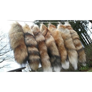 Fuchsschwanz Fuchs Schwanz Schweif Fuchsschweif Fuchsrute echt Rotfuchs Anhänger
