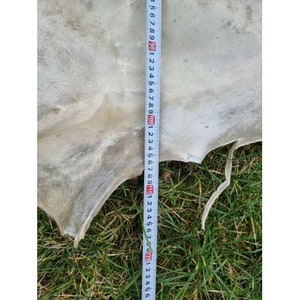 Genuine rawhide parchment raw leather for knight shields drumheads image 9