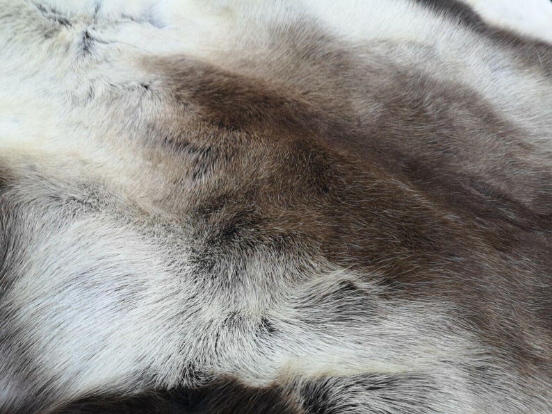 May include: Close-up of a fur pelt with a mix of white, brown, and gray tones. The fur has a soft, textured appearance with visible strands and variations in color, creating a natural, organic look.