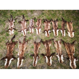 real marten skins marten fur stone marten crafting LARP decoration 2nd choice bargain