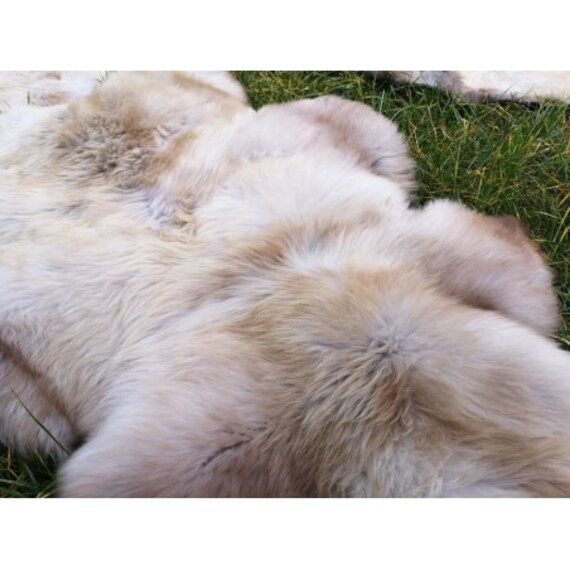 SCHWEDISCHE ÖKO SCHNUCKEN FELL LAMMFELL SCHAFFELL LANGE WOLLE NATUR NEU M - XXL