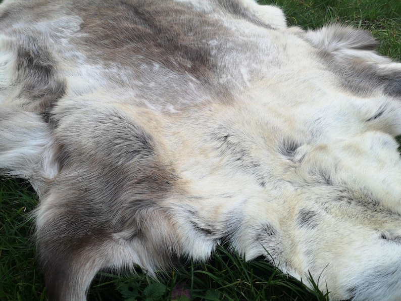 May include: A natural reindeer hide rug with a mix of gray, brown, and cream-colored fur. The rug has a soft, textured appearance and is displayed on a bed of green grass.