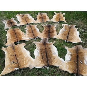 Fallow deer Bambi fallow deer roe deer fallow deer fur Larp Middle Ages Brew 2nd choice