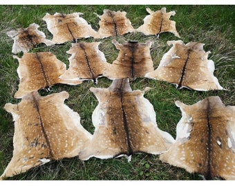 Fallow deer Bambi fallow deer roe deer fallow deer fur Larp Middle Ages Brew 2nd choice