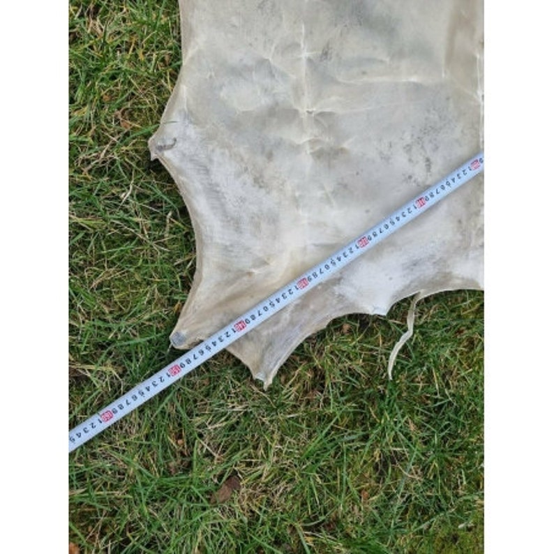 Genuine rawhide parchment raw leather for knight shields drumheads image 6