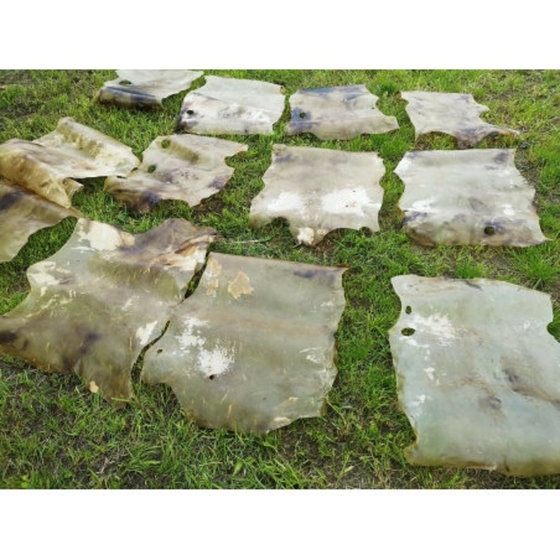 May include: A collection of irregularly shaped, tanned leather hides, varying in size, are arranged on a bed of green grass. The hides display a mix of light and dark brown tones, with some areas appearing translucent.