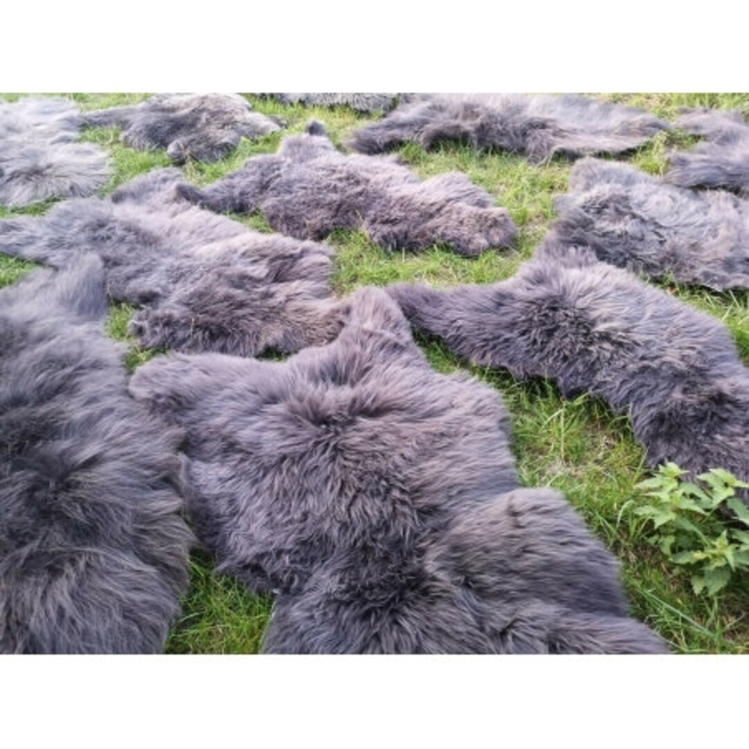 Echte Öko Schaffelle Taupe 120-130cm - Lammfell Naturfell 2.Wahl | Kurzwollig 2-5cm