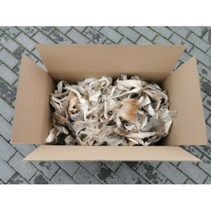Roe deer fallow deer wild fur sections pieces for crafting or fly tying