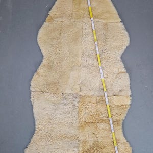 May include: A large, cream-colored sheepskin rug with a light brown patch. The rug is laid out flat on a gray surface with a measuring tape running along the side. The rug is approximately 100 inches long. The text "257-057" is printed on a white tag in the lower right corner of the image.