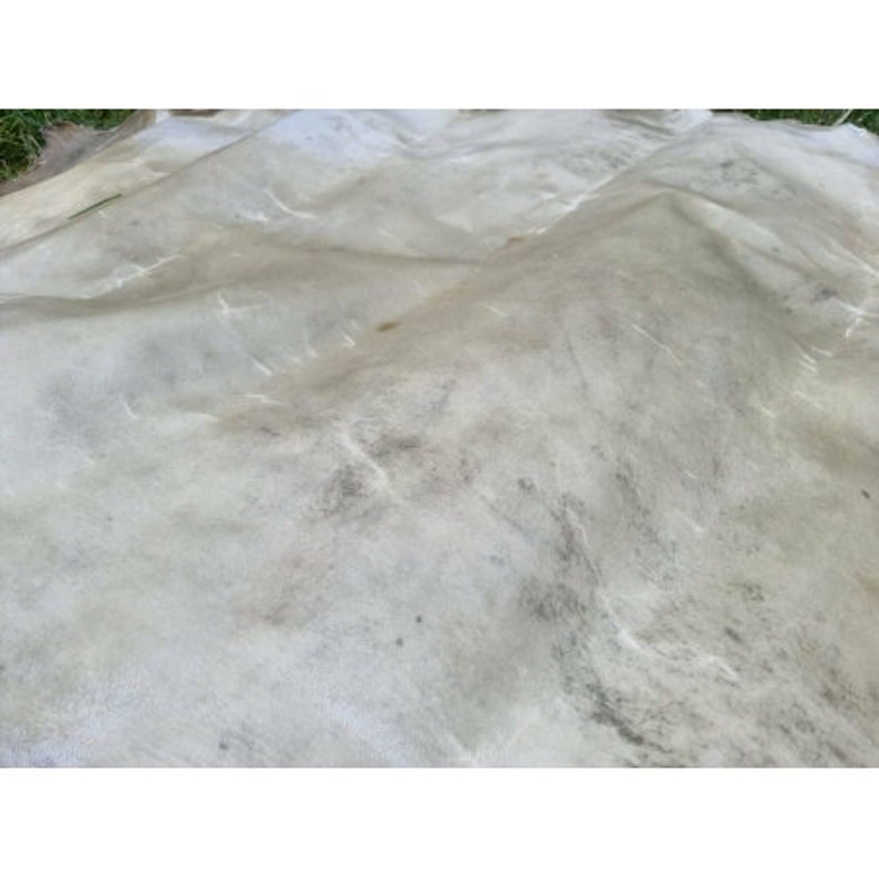 Genuine rawhide parchment raw leather for knight shields drumheads image 2