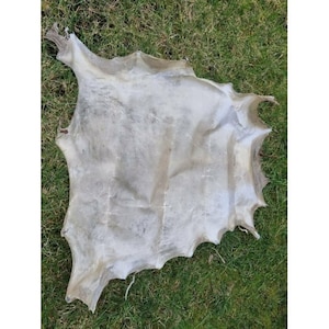 Genuine rawhide parchment raw leather for knight shields drumheads