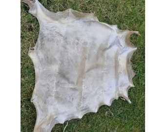 cuir brut véritable, parchemin, cuir brut pour bouclier de chevalier, cuir de tambour